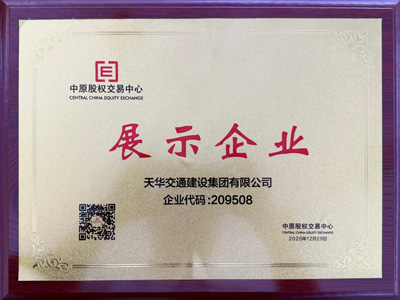 集团荣誉
