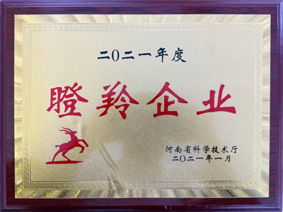 集团荣誉