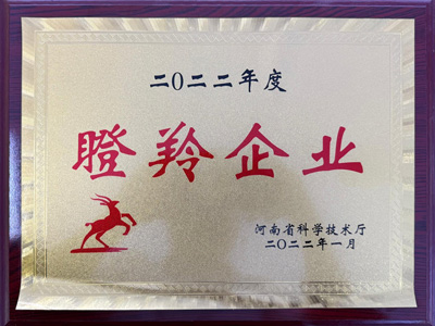 集团荣誉