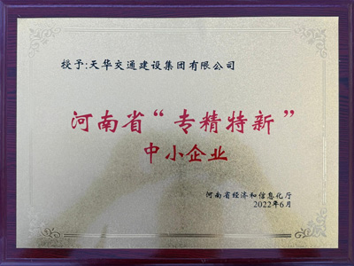 集团荣誉